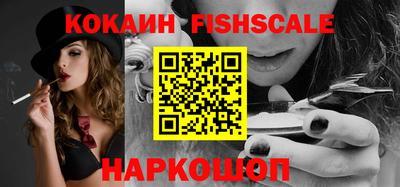 индика Партизанск