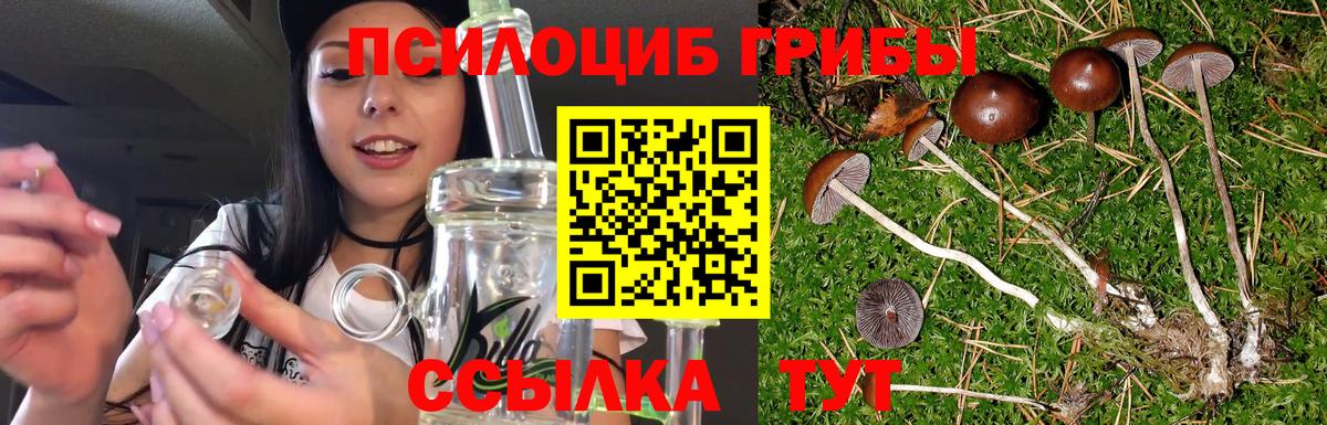 Галлюциногенные грибы Cubensis  Псилоцибиновые грибы Psilocybine cubensis  Рославль  Вход с VPN 